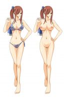 fairy_tail_erza_20110120_00002.jpg